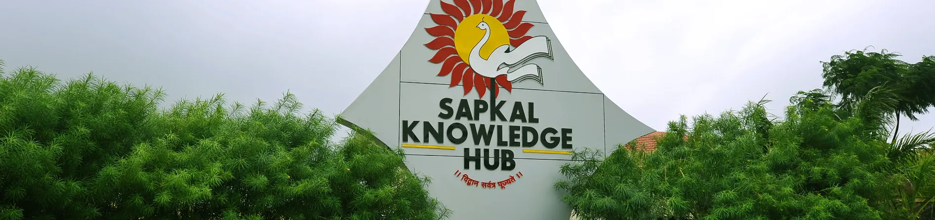 Career guidance and placement preparation support at Sapkal Knowledge Hub